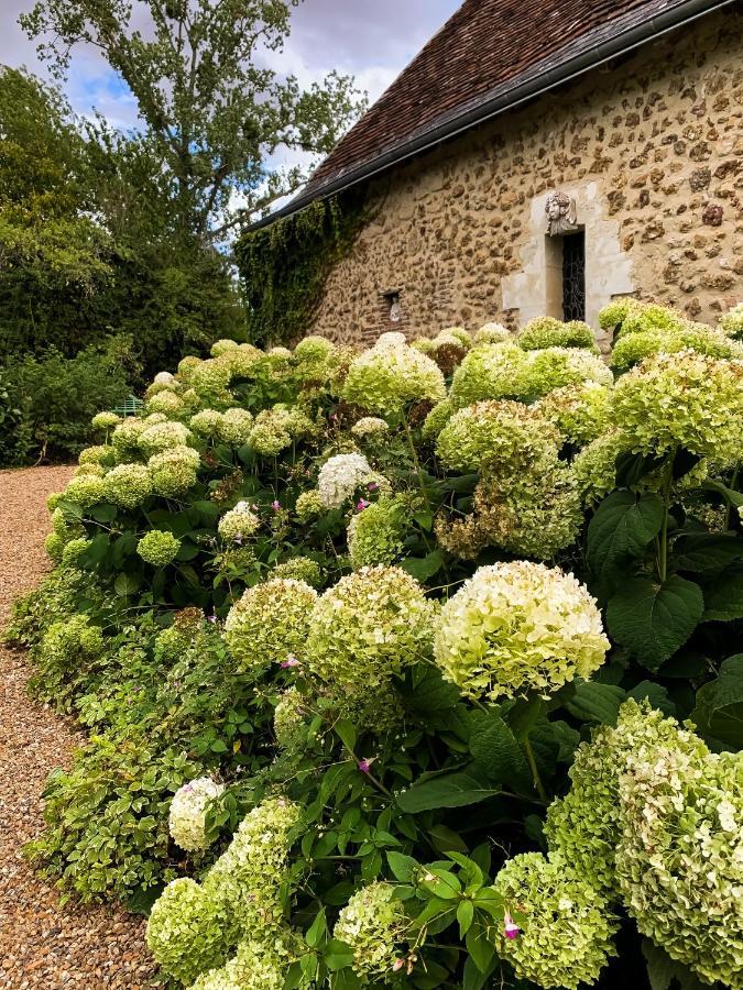 Bed and Breakfast Le Manoir De Maucartier Monnaie Exterior foto